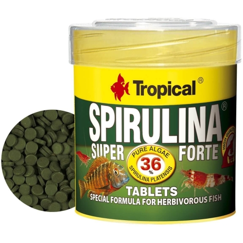 Tropical Super Spiru Tabin A Hafttabletten – Mit 36% Spirulina-Algen, Alleinfutter Für Afrikanische Cichliden