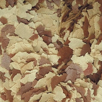Tropical 500ml - 100g Podstawowy pokarm wysoko-białkowy