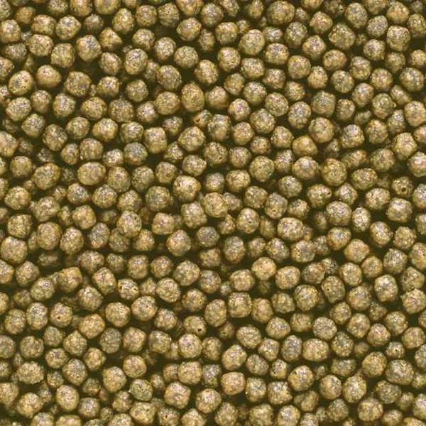 Hikari Saki R Multi Season Floating S 15kg Pokarm dla koi - ekstrakt E