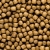 Hikari Saki Growth Floating M 2kg Pokarm dla koi - przyspiesza wzrost
