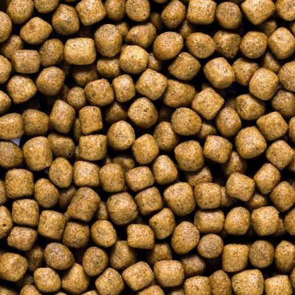 Hikari Saki Growth Floating M 15kg Pokarm dla koi - przyspiesza wzrost