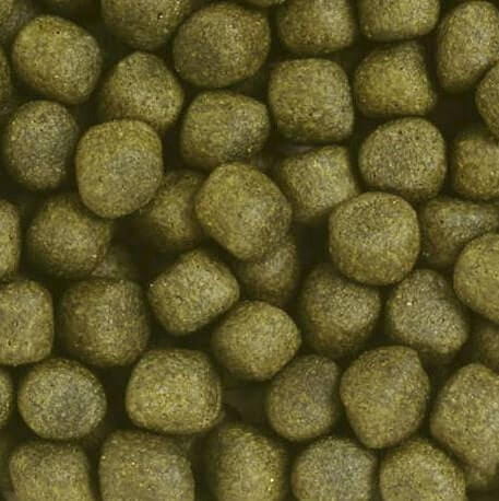 Hikari Saki Color Floating L 5kg Pokarm dla koi - wzmacnia wybarwienie