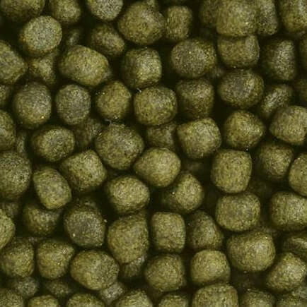 Hikari Saki Color Floating M 2kg Pokarm dla koi - wzmacnia wybarwienie
