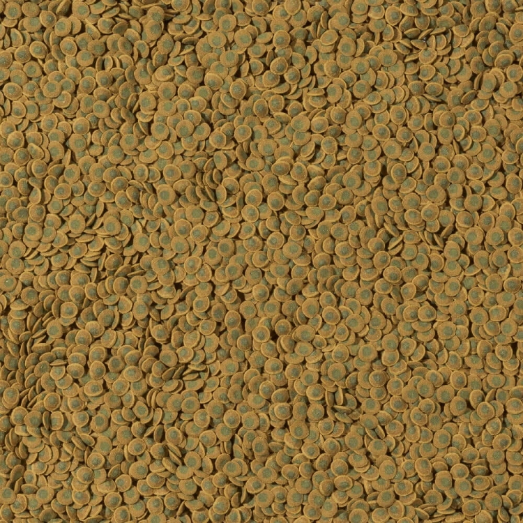 Tetra Pleco Veggie Wafers 250ml - 110g Pokarm dla ryb dennych