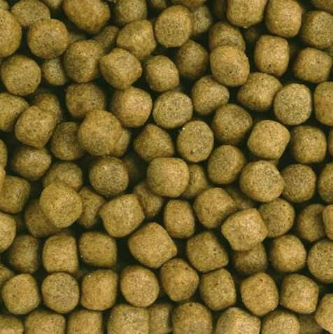 Hikari Saki Balance Floating M 2kg Podstawowy pokarm dla koi