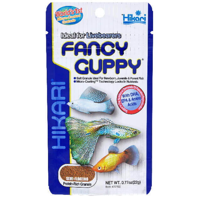 FANCY_GUPPY_22G
