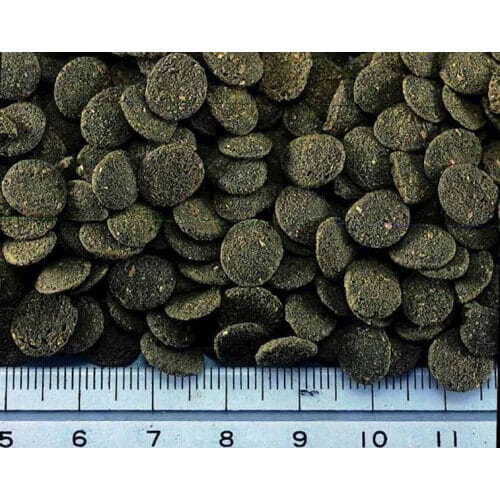 Hikari Sinking Wafers 25g - dla sum, bocja, kirys