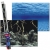 ROOTS_WATER_L