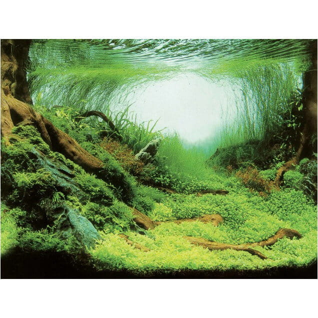 Aqua Nova Tło do akwarium 60x30cm PlantsOcean 2x fototapeta