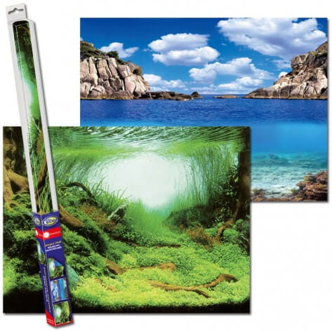 PLANTS _OCEAN_L