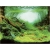Aqua Nova Tło do akwarium 100x50cm PlantsOcean 2x fototapeta
