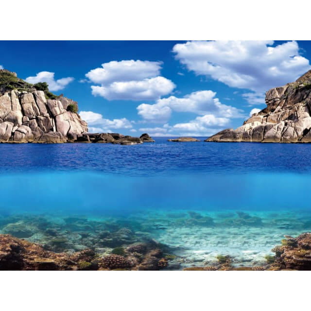 Aqua Nova Tło do akwarium 100x50cm PlantsOcean 2x fototapeta