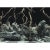 Aqua Nova Tło do akwarium 150x60cm RootsWater 2x fototapeta