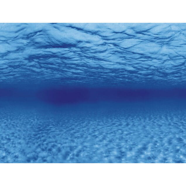 Aqua Nova Tło do akwarium 150x60cm RootsWater 2x fototapeta