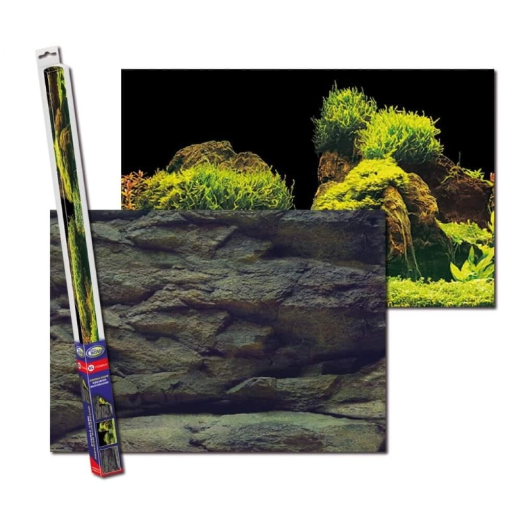 ROCK_PLANTS_XL