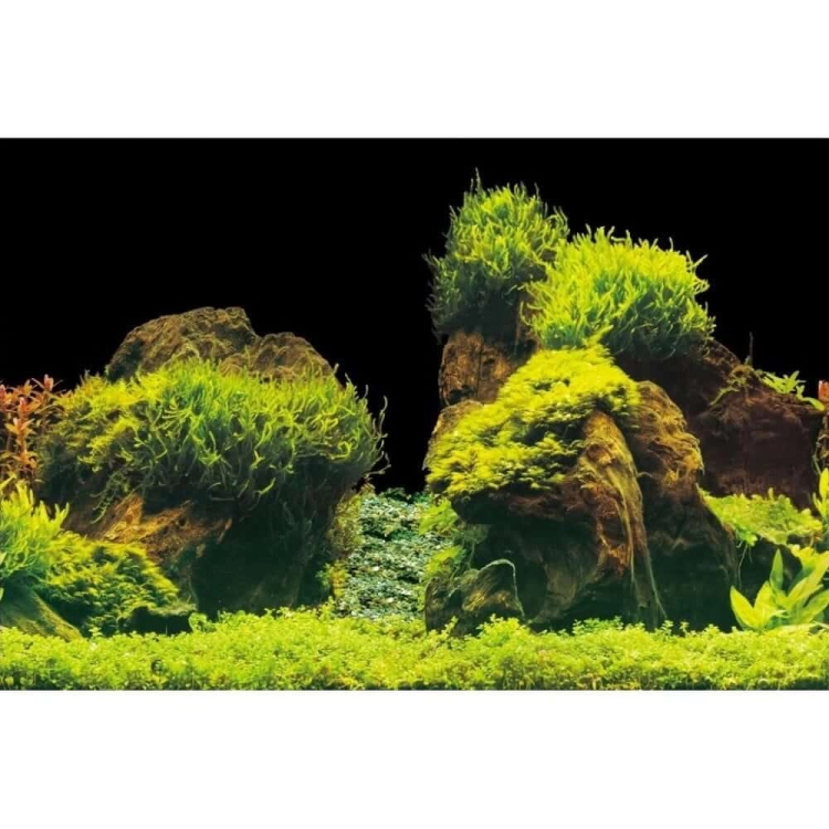 AQUA NOVA DWUSTRONNE TŁO AKWARIOWE ROCK/PLANTS XL 150X60 CM