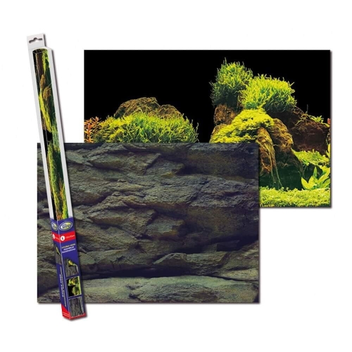 ROCK_PLANTS_L