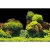 AQUA NOVA DWUSTRONNE TŁO AKWARIOWE ROCK/PLANTS S 60X30 CM