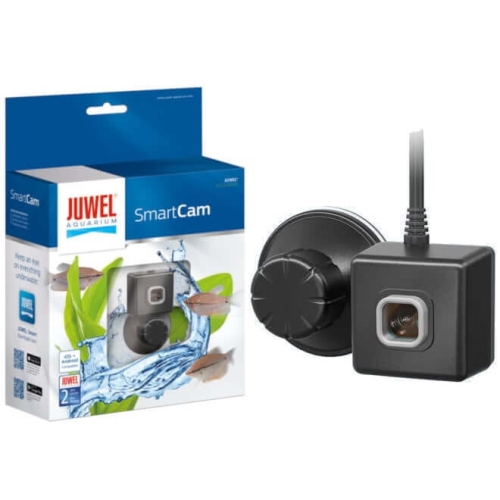 JUWEL_89500