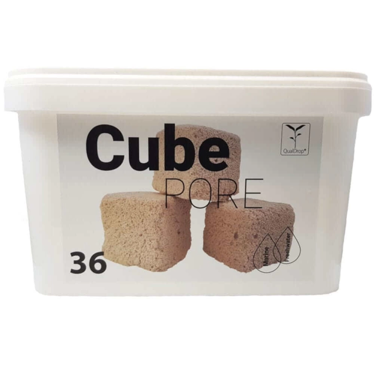 CUBEPORE_36