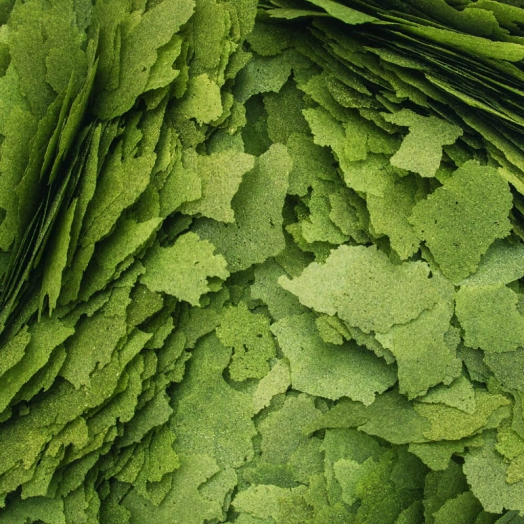 Tropical 3-Algae Flakes 100ml - 20g Pokarm spirulina