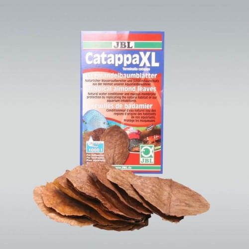 JBL Catappa XL 10 szt. - liście migdałecznika do akwarium