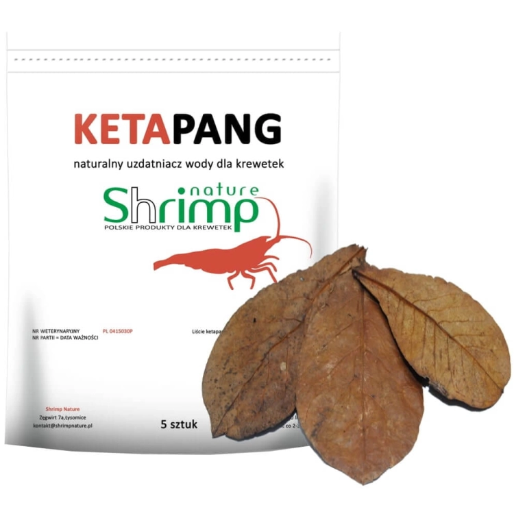 LISCIE_KETAPANG_5SZT