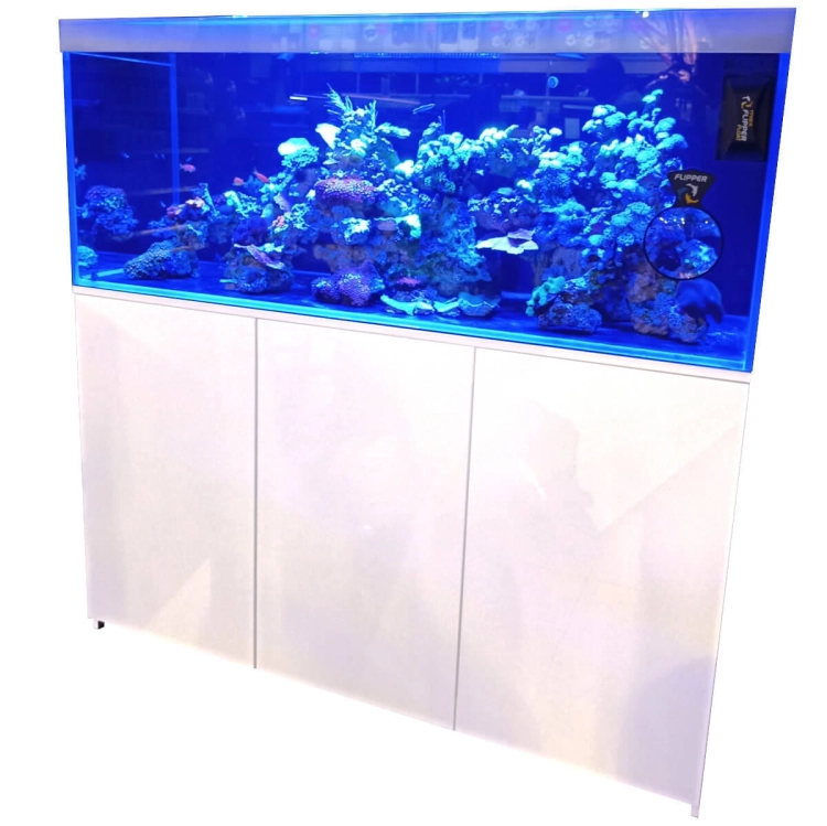 MITOJA_MARINE_2