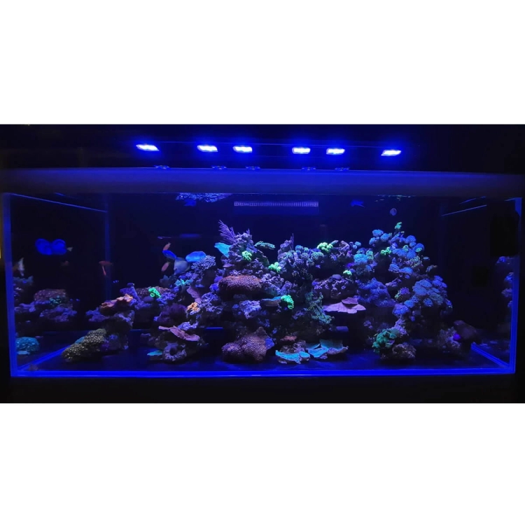 Mitoja Marine 150 zestaw do akwarystyki morskiej