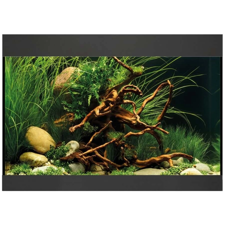 Oase StyleLine 125 LED czarny zestaw akwarium + filtr BioPlus Thermo 200