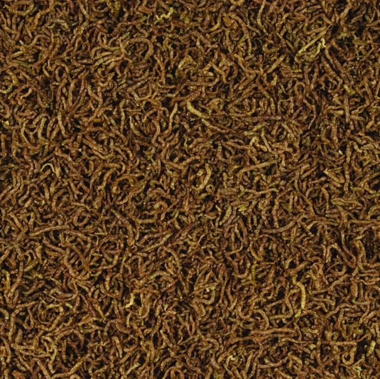 Tropical Red Mico 100ml Larwy ochotki
