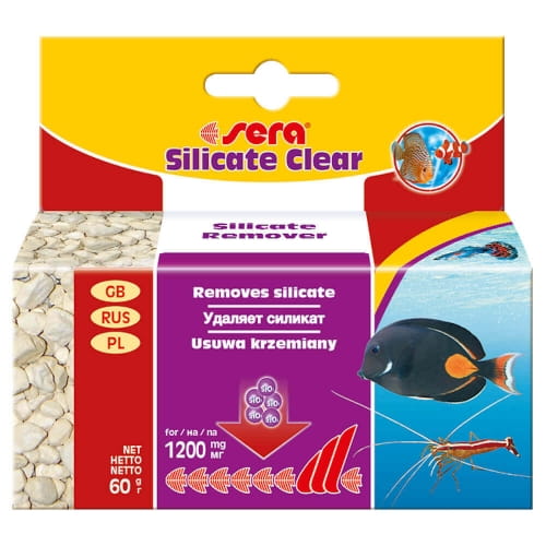 SILICATE_CLEAR_60G