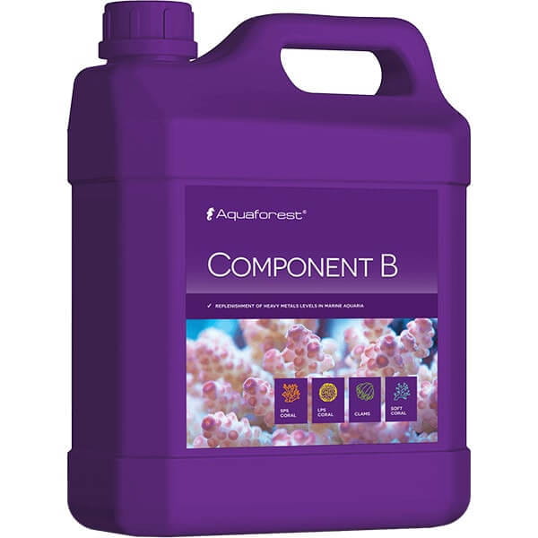 COMPONENT_B_2L