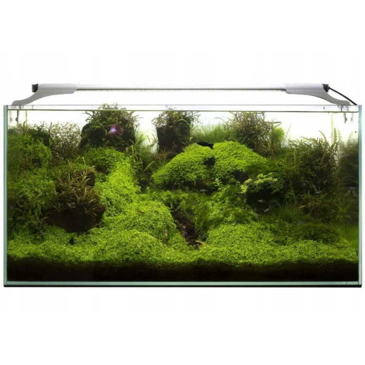 Aquael Leddy Slim Sunny Day&Night 10W biała belka LED 50-70cm