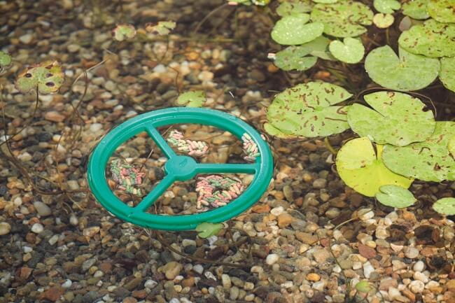 Pontec PondoFeed RIng - Pierścień pływający karmnik dla rybd