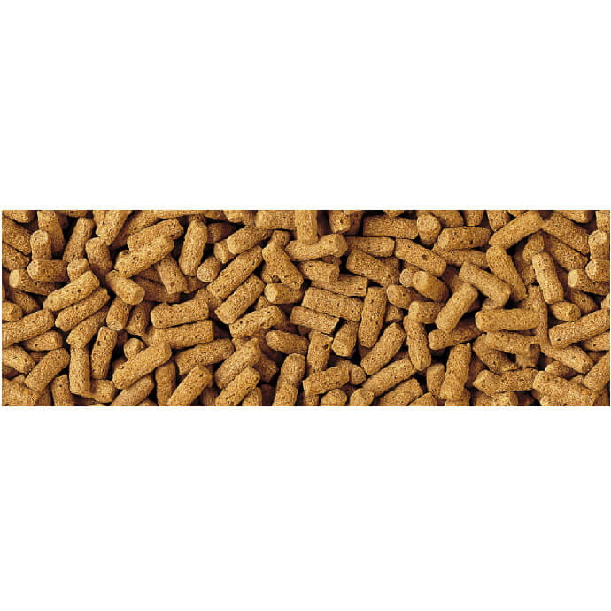 Tetra Pond Wheatgerm Stick 7L - Pokarm dla ryb stawowych