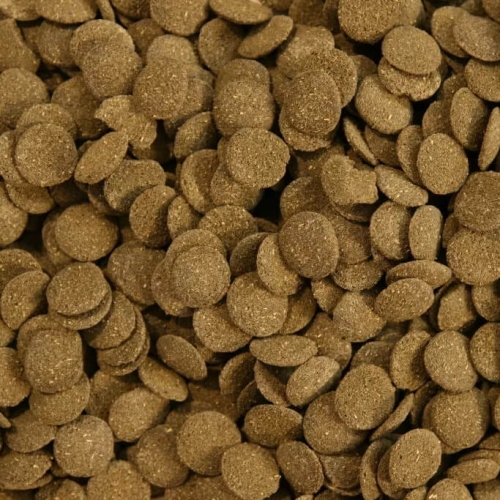 ALGEN WAFERS_1KG
