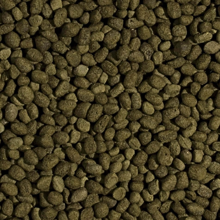 TROPICAL KOI SPIRULINA PELLET S 3L - 960G POKARM DLA RYB