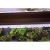Oase HighLine Premium LED 100 lampa oświetlenie LED 83W