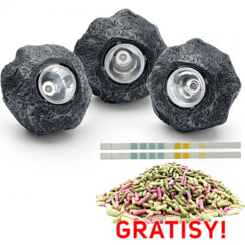 PONTEC_87585