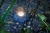 Pontec PondoStar Rocklight Set 3 Oświetlenie LED do oczka 3x1W + gratisy