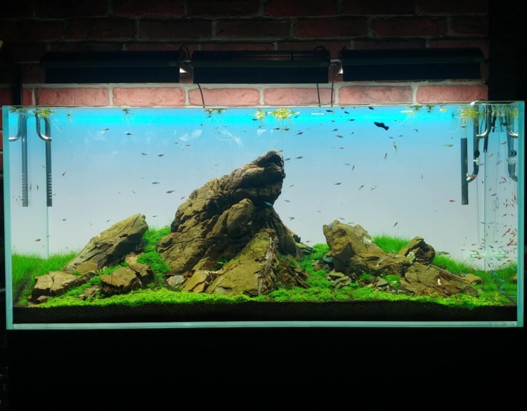 Lightground LED RGB 35x35cm 6mm - Tło podświetlane do akwarium