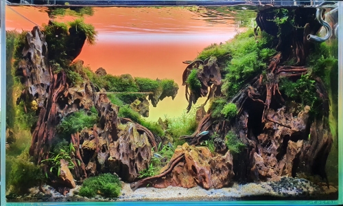 LG_RGB_100X50CM_8MM