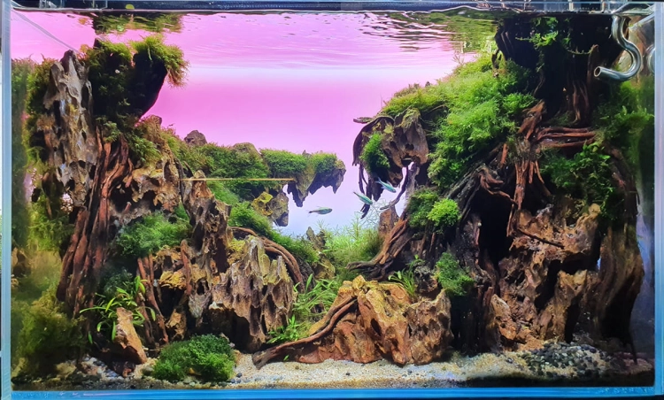 Lightground LED RGB 100x50cm 8mm - Tło podświetlane do akwarium