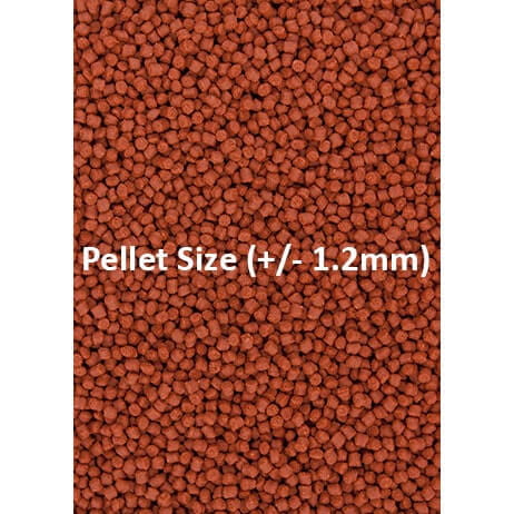 Ocean Nutrition Formula One Pellets S 100g Pokarm dla ryb morskich