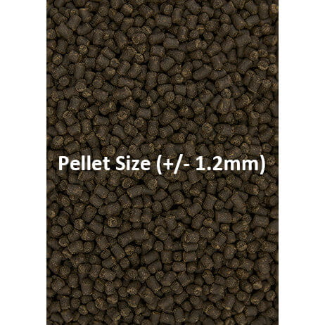 Ocean Nutrition Formula Two Pellets S 100g Pokarm granulat