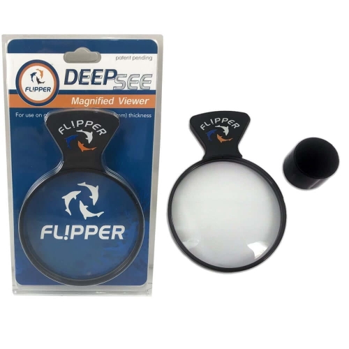 DEEPSEE_STANDARD