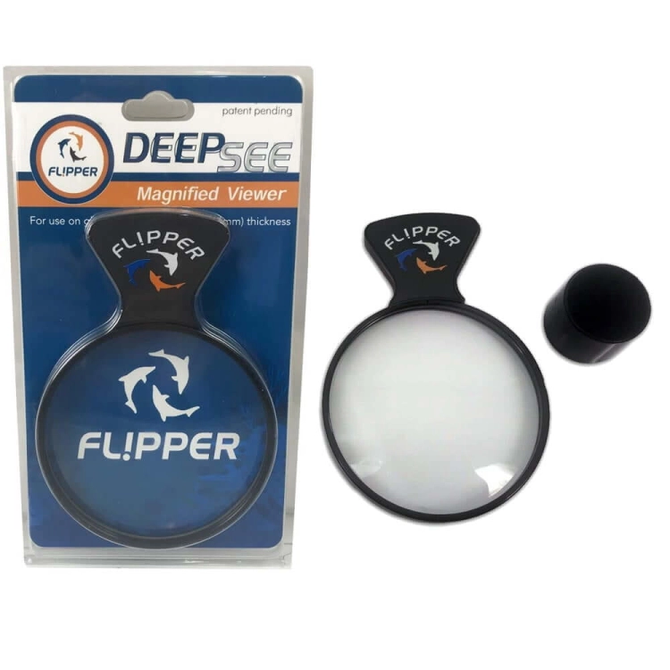 DEEPSEE_STANDARD