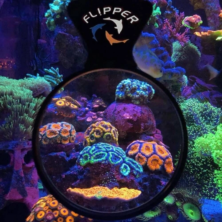 Flipper DeepSee Standard lupa do akwarium 10cm