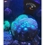 Flipper DeepSee Max lupa do akwarium 12,7cm